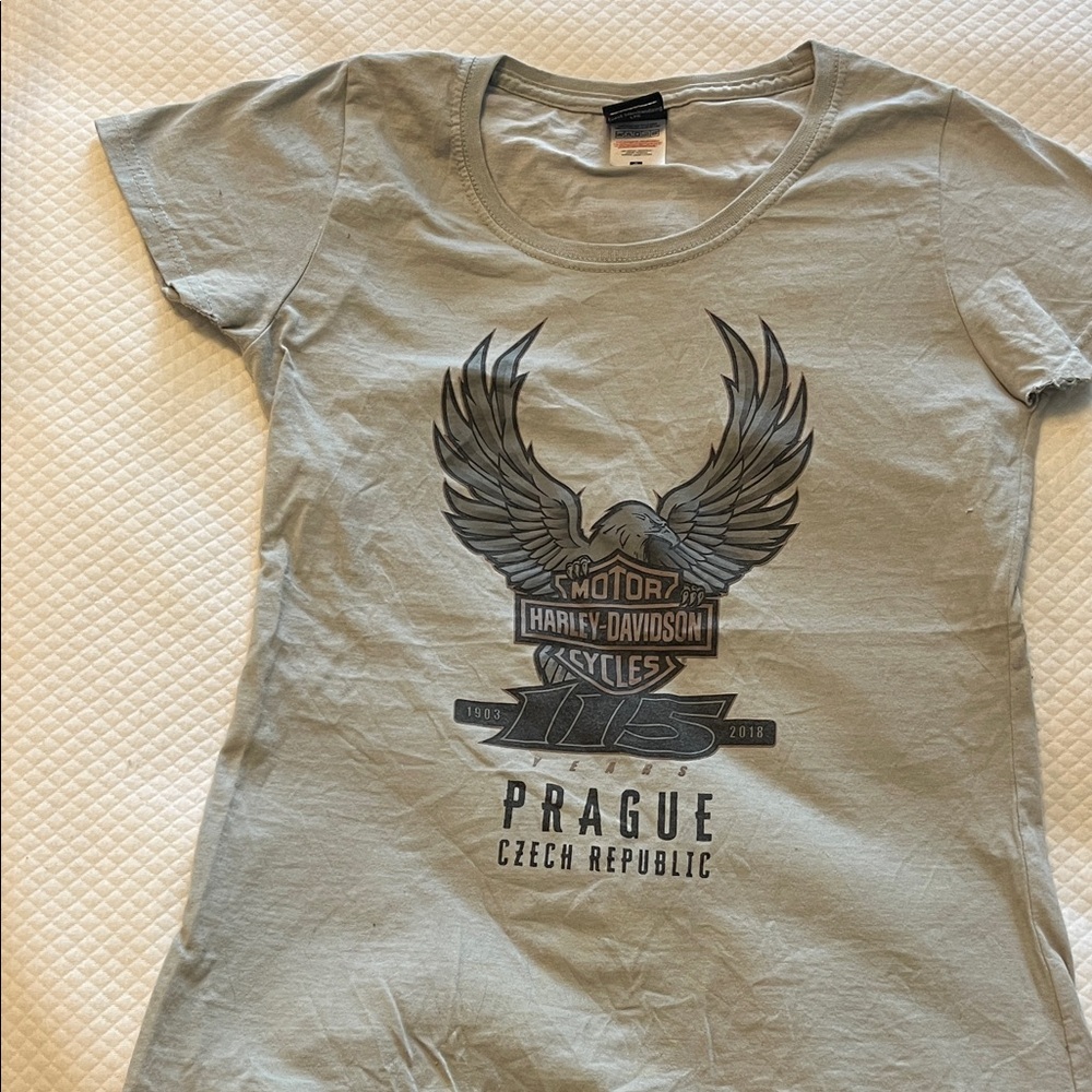 Harley-Davidson Silver Graphic Tee